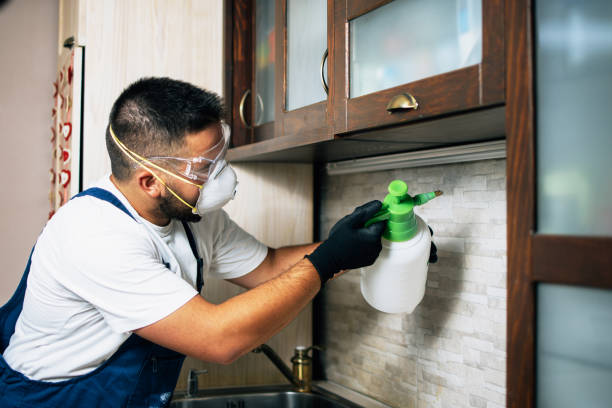Best Wasp Removal Services  in Forsyth, IL