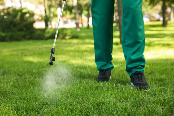 Best Pest Prevention Services  in Forsyth, IL
