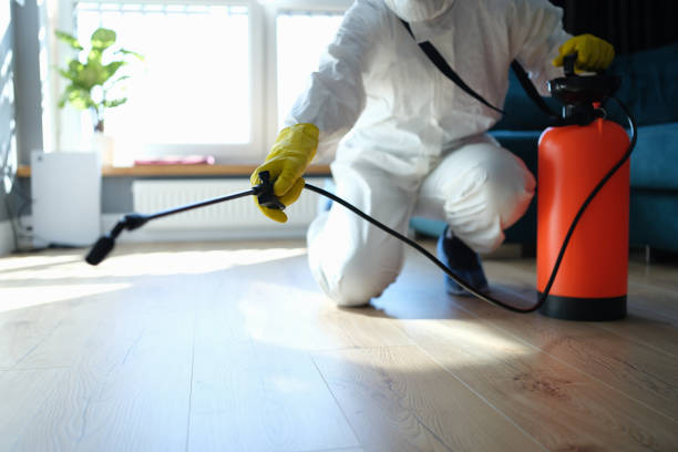 Best Local Pest Control Services  in Forsyth, IL