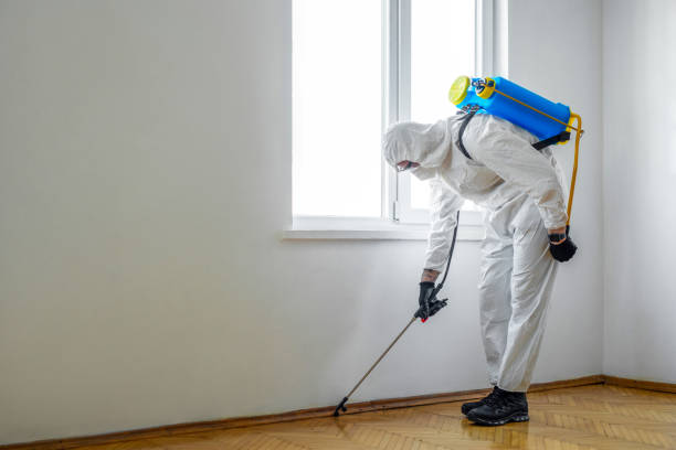 Best Rat Extermination Near Me  in Forsyth, IL