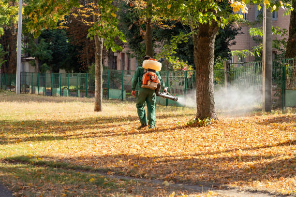 Best Cockroach Control Services  in Forsyth, IL