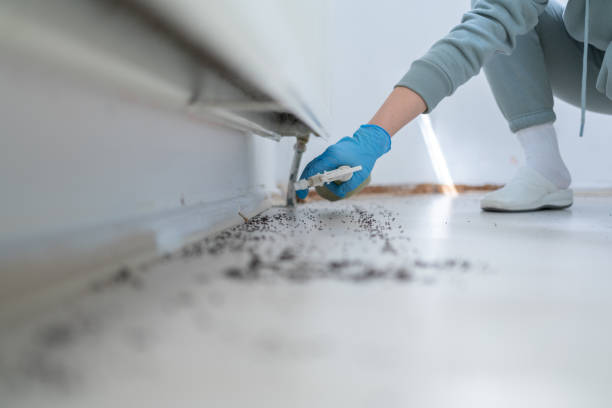 Best Pest Control Near Me  in Forsyth, IL