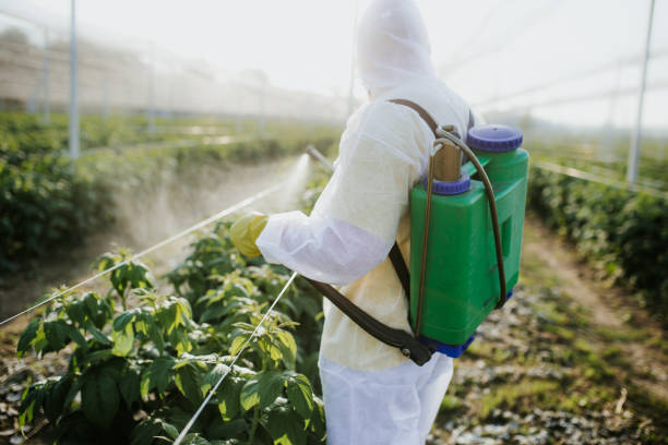 Best Emergency Pest Control  in Forsyth, IL